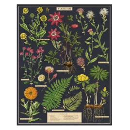 Cavallini & Co. Herbarium 1000 Piece Puzzle